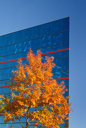 Fall Building ©